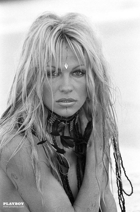 Pamela Anderson actrice de nus img